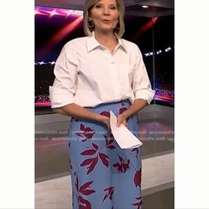 Thakoon Light Blue Burgundy Skirt Size 4